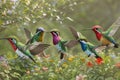 Graceful Bird Family in Wildflower Garden Nature\'s Flight Symphony