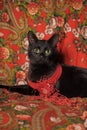 A graceful black cat lies on a scarf in the Russian style with a red necklace