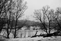 Graceful black silhouettes of trees on river bank. Monochrome photo