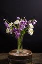 A graceful bouquet of chamomile flowers and bells in a vase on a black background in a dark style, still life