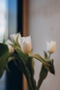 Graceful bouquet of tender white tulips. Light vintage vase with bunch of flowers is located on the table