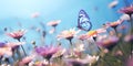 Graceful Butterfly in Flight above Pink Spring Blossoms, Ideal for Springtime and Nature Themes