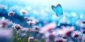 Graceful Butterfly Fluttering Above Pink Spring Flowers, Ideal for Springtime Atmosphere