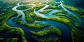 graceful curves of a meandering river as seen from a bird& x27;s-eye view.