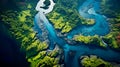 graceful curves of a meandering river as seen from a bird& x27;s-eye view.