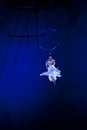 Graceful dance performed on the aerial ring Royalty Free Stock Photo