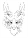 Graceful deer coloring page for adult in exquisite style Royalty Free Stock Photo