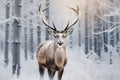 graceful deer in the winter forest