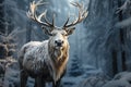 graceful deer in the winter forest