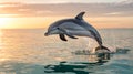 A graceful dolphin leaps joyfully from the ocean s surface during a breathtaking sunset Royalty Free Stock Photo