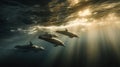 Graceful dolphins swim in deep blue ocean, illuminated by sun rays filtering from surface, serene view. Royalty Free Stock Photo