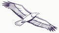 Graceful Eagle in Flight: Symbolic Wildlife Silhouette, vector design Generative AI Royalty Free Stock Photo