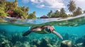 Graceful Encounters: A Majestic Sea Turtle in Shallow Waters