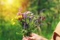 Graceful female hands are holding a bouquet of forest wild flowers. Side view