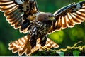 Graceful Flight: Common Buzzard in Mid-Hunt Focus, Feather Textures Accentuated, Nestled Within a High-Resolution Sky Royalty Free Stock Photo