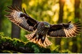 Graceful Flight: Common Buzzard in Mid-Hunt Focus, Feather Textures Accentuated, Nestled Within a High-Resolution Sky Royalty Free Stock Photo