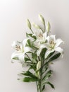 flower background with beautiful lilies Royalty Free Stock Photo