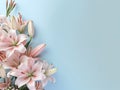 flower background with beautiful lilies Royalty Free Stock Photo