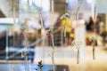 Graceful flowers arrangement in glass test tubes, romantic background. Minimalistic elegant composition