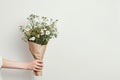 Graceful hand cradles chamomile bouquet against clean white background