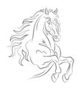 Graceful horse Royalty Free Stock Photo