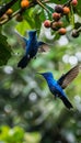 Graceful hummingbirds in flight, aiming for vibrant flower nectar in a stunning display