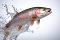 Graceful Leap Salmon in Mid-Air, Captured Against a Pristine White Backdrop. created with Generative AI