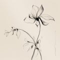 Graceful Movements A Minimalist Illustration Of Delicate Flowers