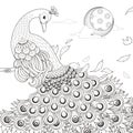 Graceful peacock coloring page