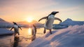 Graceful Penguins Sliding on Pristine Ice in Golden Morning Light