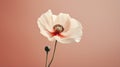 Graceful Poppy Flower On Pale Pink Background - Uhd Image