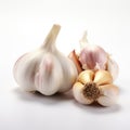 Graceful Poses: Three Garlic Bulbs In Light Red And White