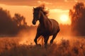 Graceful power thoroughbred stallion gallops freely in a rural sunset