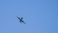 Graceful Precision: Airbus A321-XLR Bank Turn.