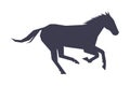 Graceful Racing Horse Silhouette, Derby, Equestrian Sport Vector Illustration