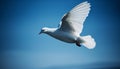 Graceful seagull gliding mid air, spreading wings in clear blue sky generated by AI Royalty Free Stock Photo