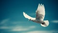 Graceful seagull in mid air, spreading wings, symbol of freedom generated by AI Royalty Free Stock Photo