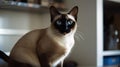 A Siamese cat perched on the windowsill watching birds outside created with Generative AI