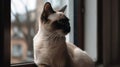 A Siamese cat perched on the windowsill watching birds outside created with Generative AI