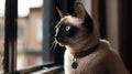 A Siamese cat perched on the windowsill watching birds outside created with Generative AI