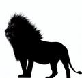 Lioness Silhouette