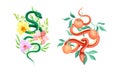 Graceful Snakes Coiled Around Beautiful Blooming Orchid and Peach Fruit Twigs Vector Set