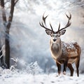 Graceful snowy deer stands in a serene snowy landscape