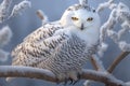 portrait of snowy owl perch on a branch generate by AI