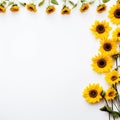 Graceful Sunflower Border Beauty in Focus