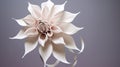 Graceful Surrealism: 3d Printed Paper Flower Sculpture