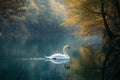 A graceful swan swimming, its body merging with the soft lines of trees along the edge of a forest