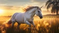Graceful Unicorn in Golden Light Royalty Free Stock Photo