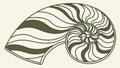 Stylized Nautilus Shell Geometric Spiral Vector Art, vector design Generative AI Royalty Free Stock Photo