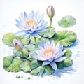A graceful watercolor botanical illustration of a water lily by AI generated